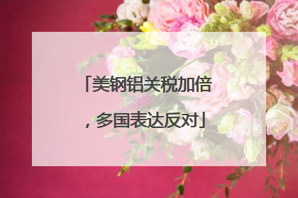 美钢铝关税加倍，多国表达反对