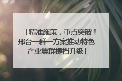 精准施策，重点突破！邢台一群一方案推动特色产业集群提档升级