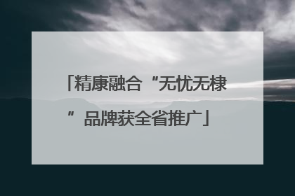 精康融合“无忧无棣”品牌获全省推广
