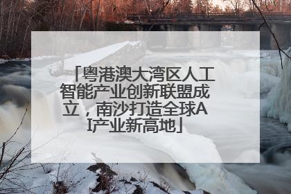 粤港澳大湾区人工智能产业创新联盟成立，南沙打造全球AI产业新高地
