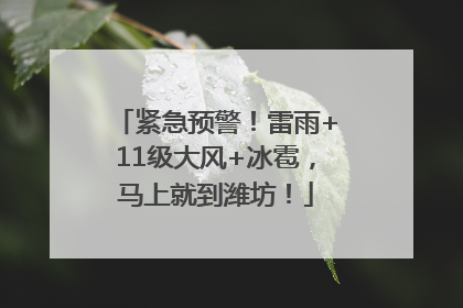紧急预警！雷雨+11级大风+冰雹，马上就到潍坊！