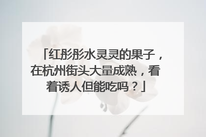 红彤彤水灵灵的果子，在杭州街头大量成熟，看着诱人但能吃吗？