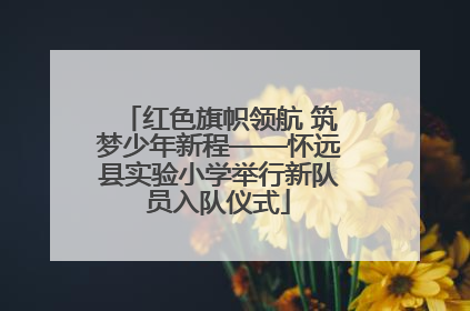 红色旗帜领航 筑梦少年新程——怀远县实验小学举行新队员入队仪式