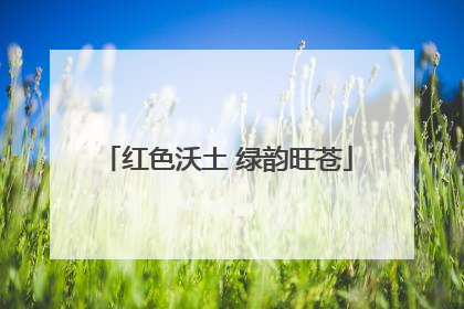红色沃土 绿韵旺苍