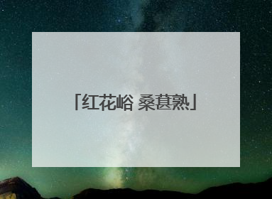 红花峪 桑葚熟