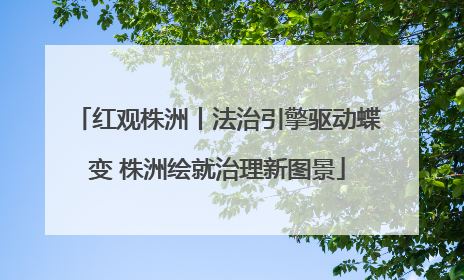 红观株洲丨法治引擎驱动蝶变 株洲绘就治理新图景