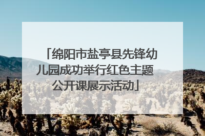 绵阳市盐亭县先锋幼儿园成功举行红色主题公开课展示活动