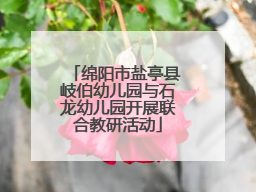 绵阳市盐亭县岐伯幼儿园与石龙幼儿园开展联合教研活动