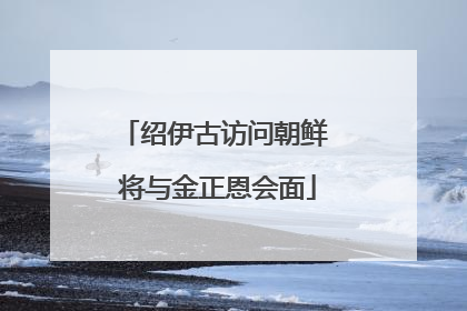 绍伊古访问朝鲜 将与金正恩会面