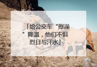 给公交车“擦澡”降温，他们不惧烈日与汗水