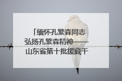 缅怀孔繁森同志 弘扬孔繁森精神——山东省第十批援藏干部人才清明节前到岗巴县开展党性教育