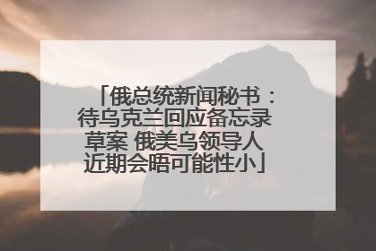 俄总统新闻秘书：待乌克兰回应备忘录草案 俄美乌领导人近期会晤可能性小