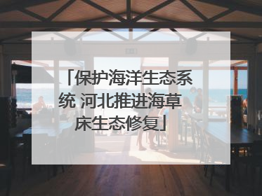 保护海洋生态系统 河北推进海草床生态修复