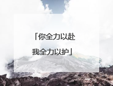 你全力以赴 我全力以护