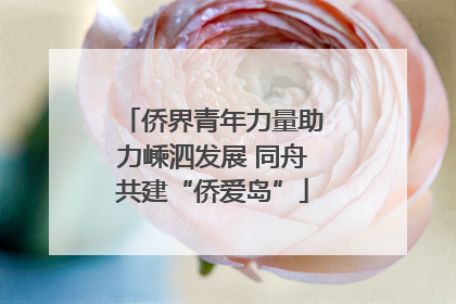 侨界青年力量助力嵊泗发展 同舟共建“侨爱岛”