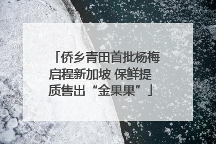侨乡青田首批杨梅启程新加坡 保鲜提质售出“金果果”