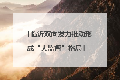 临沂双向发力推动形成“大监督”格局