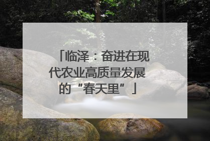 临泽：奋进在现代农业高质量发展的“春天里”