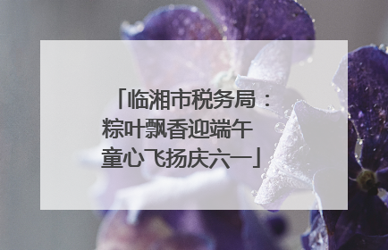 临湘市税务局：粽叶飘香迎端午 童心飞扬庆六一