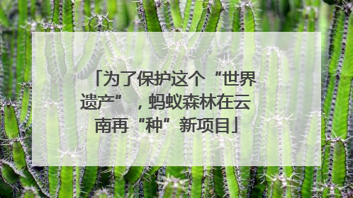 为了保护这个“世界遗产”，蚂蚁森林在云南再“种”新项目