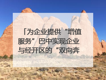 为企业提供“增值服务”巴中实现企业与经开区的“双向奔赴”｜川陕渝网络名人巴中行