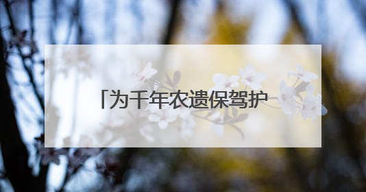 为千年农遗保驾护航！《丽水市青田稻鱼共生系统保护发展条例》正式施行