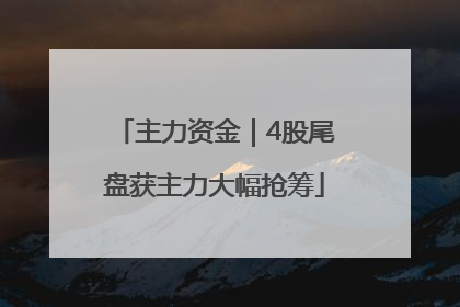 主力资金｜4股尾盘获主力大幅抢筹