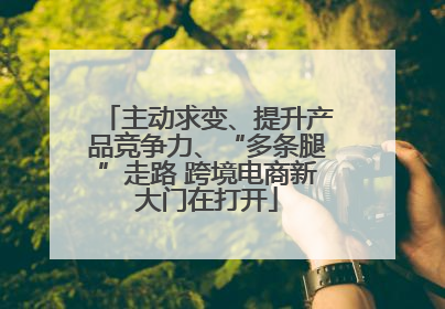 主动求变、提升产品竞争力、“多条腿”走路 跨境电商新大门在打开