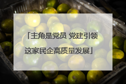 主角是党员 党建引领这家民企高质量发展