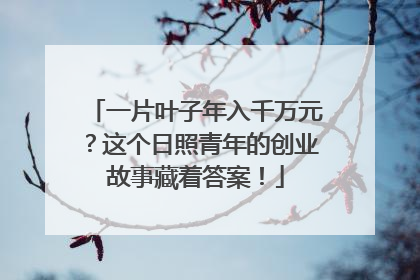 一片叶子年入千万元？这个日照青年的创业故事藏着答案！