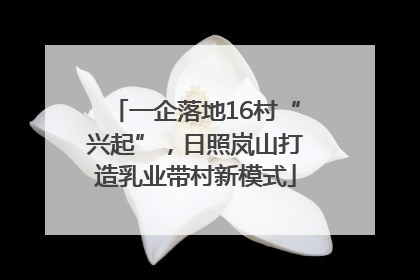 一企落地16村“兴起”，日照岚山打造乳业带村新模式