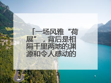 一场风雅“荷展”，背后是相隔千里两地的渊源和令人感动的历史人文情怀
