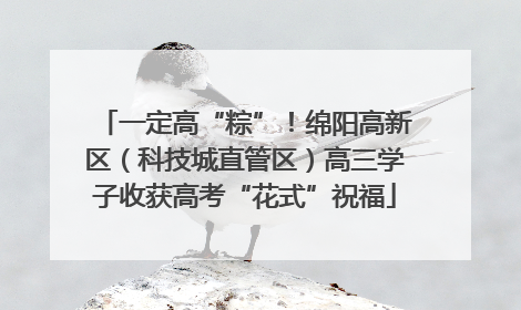 一定高“粽”！绵阳高新区（科技城直管区）高三学子收获高考“花式”祝福