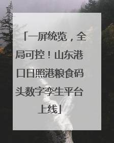 一屏统览，全局可控！山东港口日照港粮食码头数字孪生平台上线