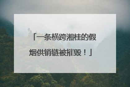 一条横跨湘桂的假烟供销链被摧毁！