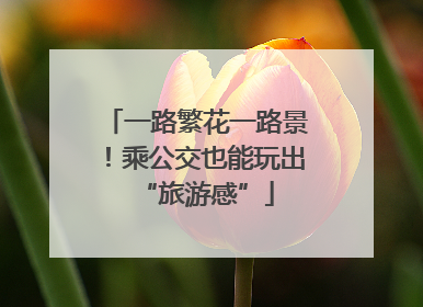 一路繁花一路景！乘公交也能玩出“旅游感”