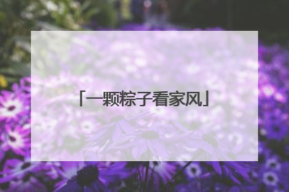 一颗粽子看家风