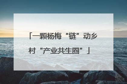 一颗杨梅“链”动乡村“产业共生圈”
