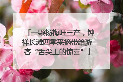 一颗杨梅旺三产，钟祥长滩四季采摘带给游客“舌尖上的惊喜”