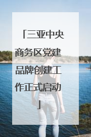 三亚中央商务区党建品牌创建工作正式启动
