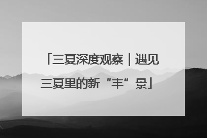 三夏深度观察｜遇见三夏里的新“丰”景