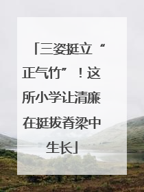 三姿挺立“正气竹”！这所小学让清廉在挺拔脊梁中生长