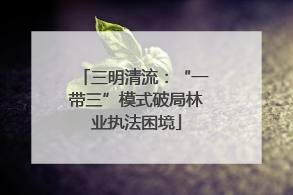 三明清流：“一带三”模式破局林业执法困境