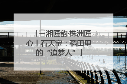 三湘匠韵·株洲匠心丨石天宝：稻田里的“追梦人”