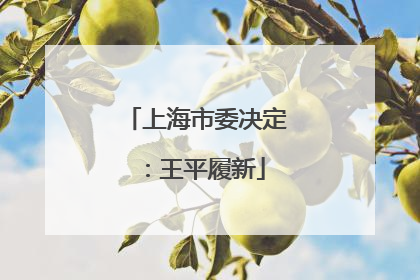 上海市委决定：王平履新