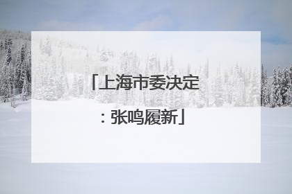 上海市委决定：张鸣履新