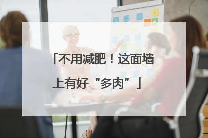 不用减肥！这面墙上有好“多肉”