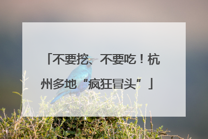 不要挖、不要吃！杭州多地“疯狂冒头”