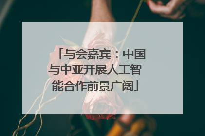 与会嘉宾：中国与中亚开展人工智能合作前景广阔