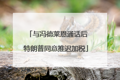 与冯德莱恩通话后 特朗普同意推迟加税